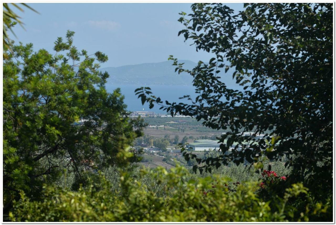 Cozy Home With Great View In Ancient Corinth 外观 照片